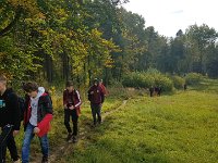 Zloty Lisc 2021 (27)